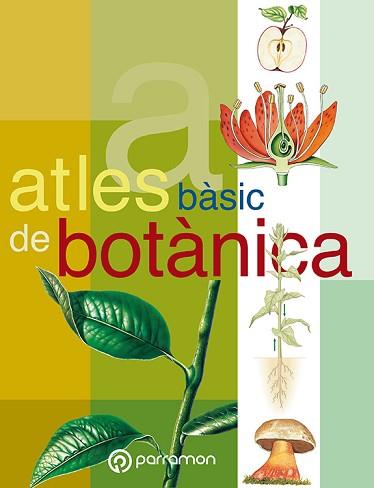 ATLES BASIC DE BOTANICA | 9788434224636 | CUERDA, JOSEP