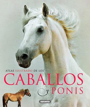 CABALLOS Y PONIS | 9788467713053 | LABAN, BRIAN