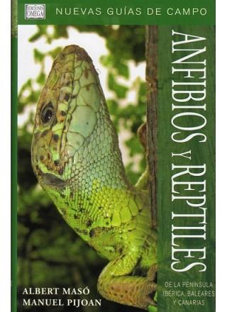 ANFIBIOS Y REPTILES | 9788428213684 | MASO, ALBERT