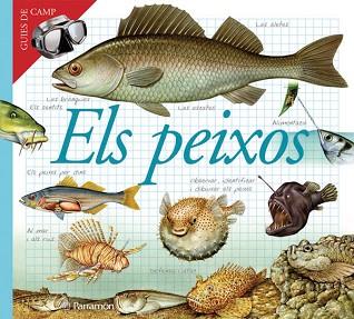 PEIXOS, ELS | 9788434228405 | AAVV