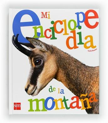 MI ENCICLOPEDIA DE LA MONTAÑA | 9788467552324 | BENOIST, CÉCILE