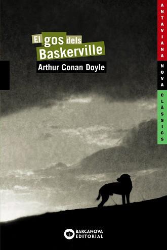 GOS DELS BASKERVILLE, EL | 9788448920814 | DOYLE, ARTHUR CONAN