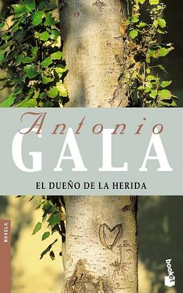 DUEÑO DE LA HERIDA, EL | 9788408052159 | GALA, ANTONIO