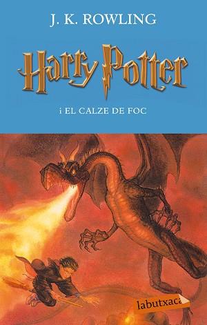 HARRY POTTER I EL CALZE DE FOC | 9788499301792 | ROWLING, J K