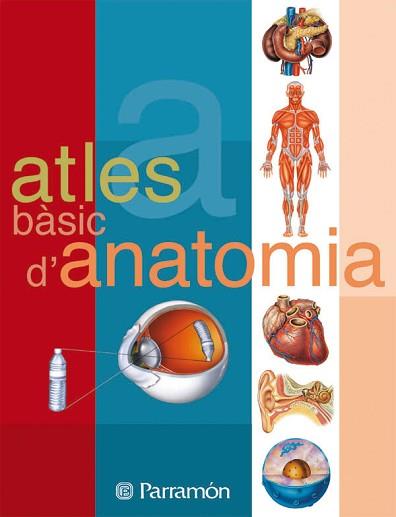 ATLES D'ANATOMIA | 9788434223134 | CASSAN, ADOLFO/MUÑOZ TENLLADO, ANTONIO