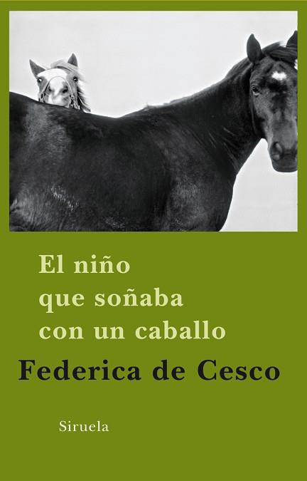 EL NIÑO QUE SOÑABA CON UN CABALLO | 9788498413649 | CESCO, FEDERICA DE