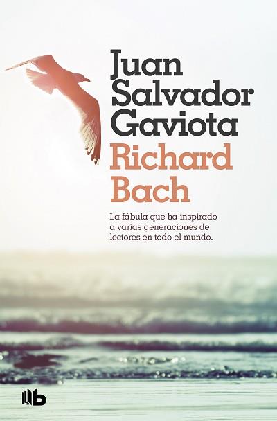 JUAN SALVADOR GAVIOTA | 9788490707432 | BACH, RICHARD