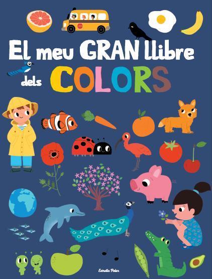 EL MEU GRAN LLIBRE DE COLORS | 9788415853879 | FANI MARCEAU/MARION BILLET