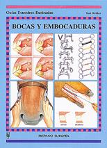 BOCAS Y EMBOCADURAS | 9788425510632 | WEBBER, TONY