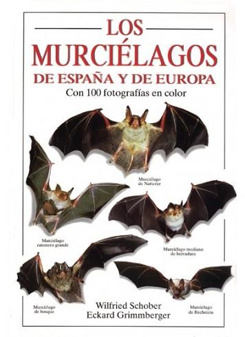 MURCIELAGOS DE ESPAÑA Y DE EUROPA, LOS | 9788428210140 | SCHOBER, WILFRIED/ GRIMMBERGER, ECKARD