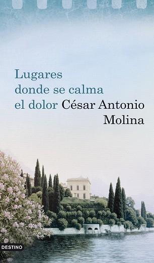 LUGARES DONDE SE CALMA EL DOLOR | 9788423341894 | MOLINA, CESAR ANTONIO