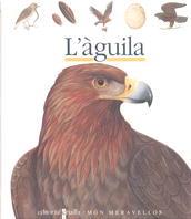 AGUILA, L' | 9788476298220 | GALLIMARD JEUNESSE, ÉDITIONS