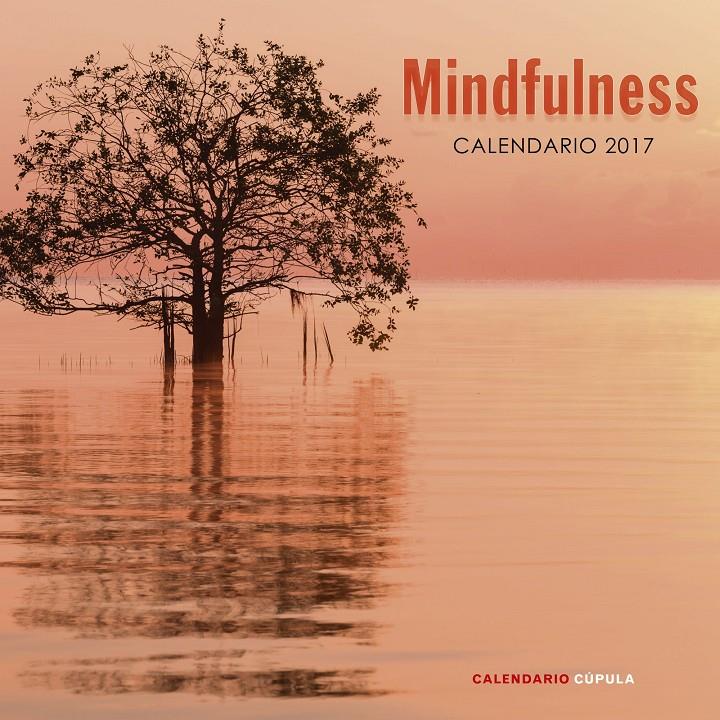 CALENDARIO MINDFULNESS 2017 | 9788448022662 | AA. VV.