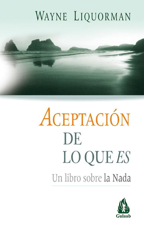 ACEPTACION DE LO QUE ES : UN LIBRO SOBRE LA NADA | 9788486797966 | LIQUORMAN, WAYNE