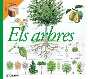 ARBRES, ELS | 9788434228320 | JULIVERT ZAMARREÑO, ÀNGELS