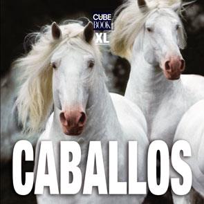 CABALLOS | 9788496865099 | ANÓNIMO