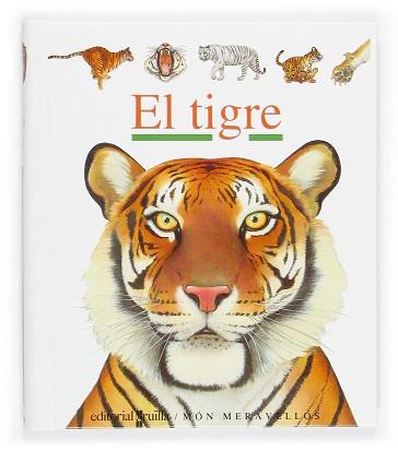 TIGRE, EL | 9788466106184 | GALLIMARD JEUNESSE, ÉDITIONS