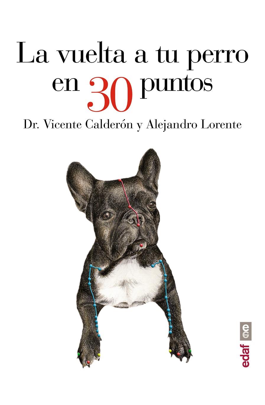 LA VUELTA A TU PERRO EN 30 PUNTOS | 9788441435483 | VICENTE CALDERÓN, DR. VICENTE/LORENTE, ALEJANDRO