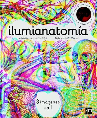 ILUMIANATOMIA | 9788467594201 | DAVIES, KATE