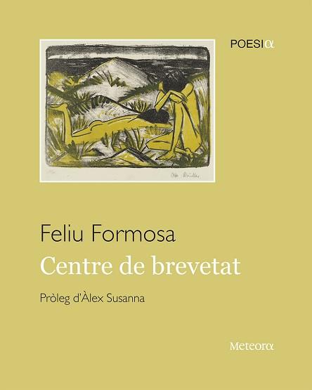 CENTRE DE BREVETAT | 9788495623492 | FORMOSA, FELIU