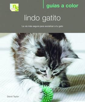 LINDO GATITO | 9788493662639 | TAYLOR, DAVID