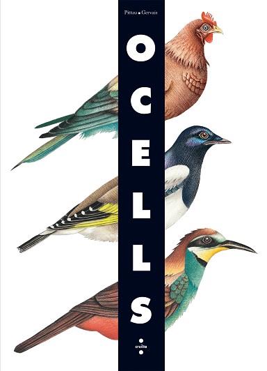 OCELLS (LLIBRE GEGANT) | 9788466126243 | FRANCESCO PITTAU