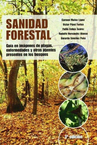 SANIDAD FORESTAL | 9788484764236 | COBOS SUAREZ, PABLO/HERNANDEZ ALONSO, RODOLFO/MUÑOZ LOPEZ, CARMEN/PEREZ FORTEA, VICTORIANO/SANCHEZ P