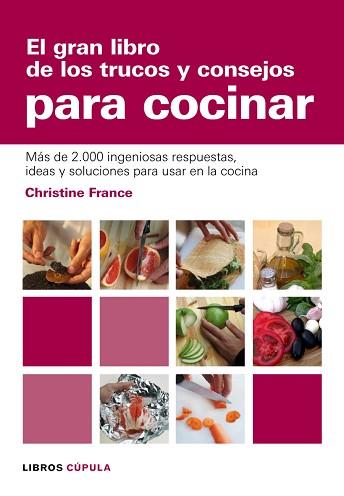 GRAN LIBRO DE LOS TRUCOS Y | 9788448047504 | FRANCE, CHRISTINE