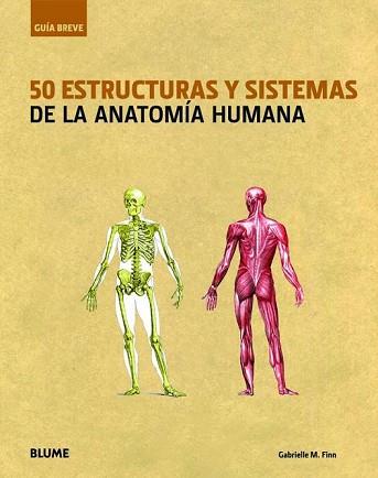 GUÍA BREVE. 50 ESTRUCTURAS Y SISTEMAS DE LA ANATOMÍA HUMANA | 9788498016345 | FINN, GABRIELLE M.