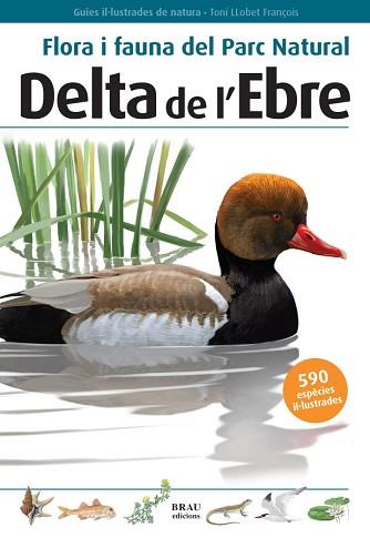 FLORA I FAUNA DEL PARC NATURAL DEL DELTA DE L'EBRE | 9788496905184 | LLOBET FRANÇOIS, TONI