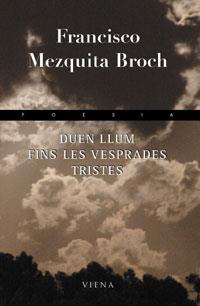 DUEN LLUM FINS LES VESPRADES TRISTES | 9788483303931 | MEZQUITA BROCH, FRANCISCO