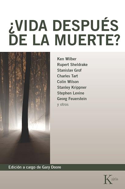 VIDA DESPUES DE LA MUERTE | 9788472452619 | VARIOS AUTORES