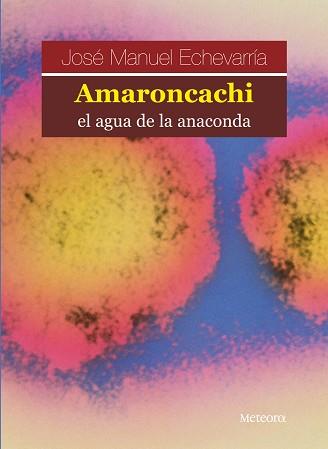 AMARONCACHI, EL AGUA DE LA ANACO | 9788495623577 | ECHEVARRÍA, JOSÉ MANUEL