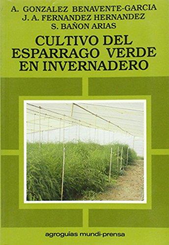 CULTIVO DEL ESPARRAGO VERDE EN INVERNADERO | 9788471144249 | PITA,E.