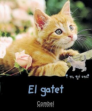 GATET, EL | 9788478642304 | MONTARDRE, HELENE (1954- )