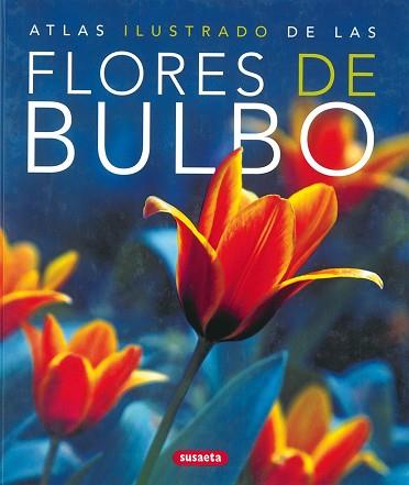 FLORES DE BULBO | 9788430570324 | AA.VV.