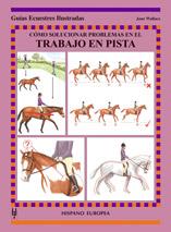 COMO SOLUCIONAR PROBLEMAS EN EL TRABAJO EN PISTA | 9788425516795 | WALLACE, JANE (1952- )