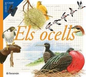 MEU PRIMER ATLES DELS OCELLS, EL | 9788434228283 | JULIVERT ZAMARREÑO, ÀNGELS